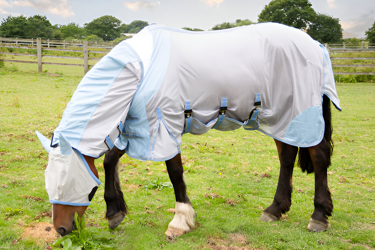 Horse Rugs
