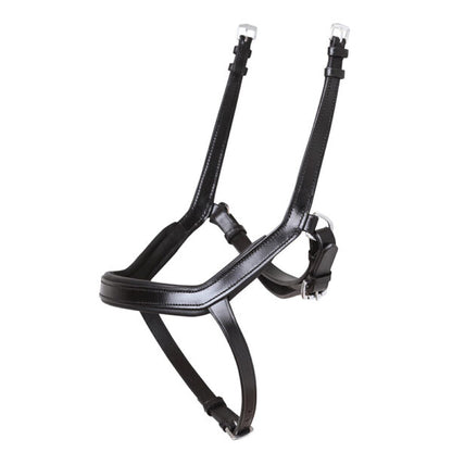 Nosebands