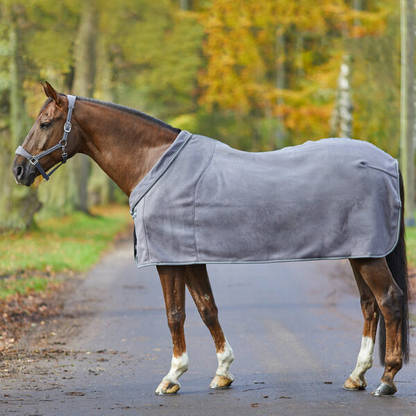 Fly Rug